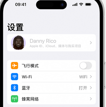 嵩县appleID维修服务iPhone设置中Apple ID显示为灰色无法使用 