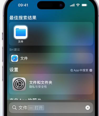 嵩县apple维修中心分享iPhone文件应用中存储和找到下载文件