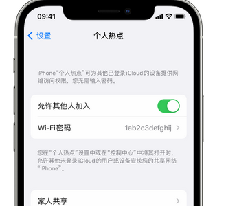 嵩县apple服务站点分享iPhone上个人热点丢失了怎么办