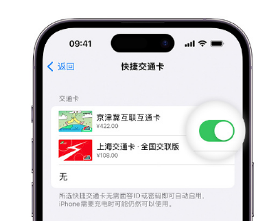 嵩县apple维修点分享iPhone上更换Apple Pay快捷交通卡手绘卡面 