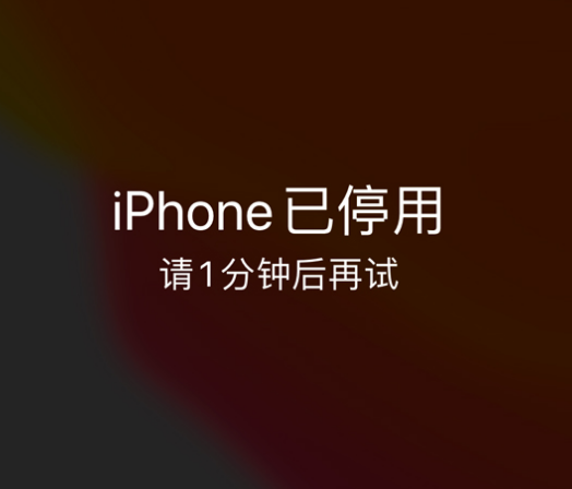 嵩县苹果手机维修分享:iPhone 显示“不可用”或“已停用”怎么办？还能保留数据吗？ 