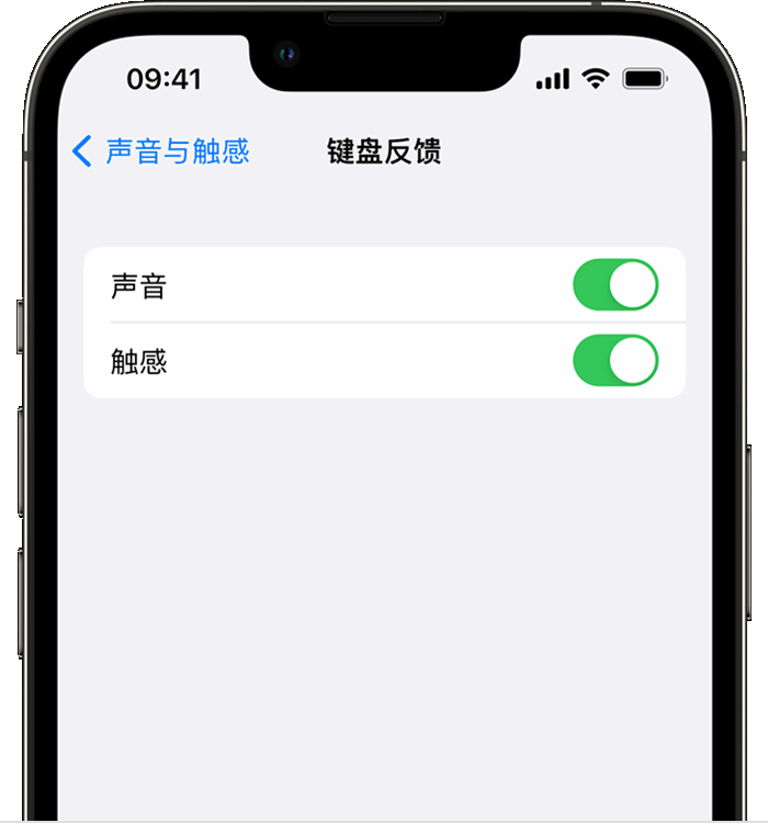 嵩县苹果14维修店分享如何在 iPhone 14 机型中使用触感键盘 