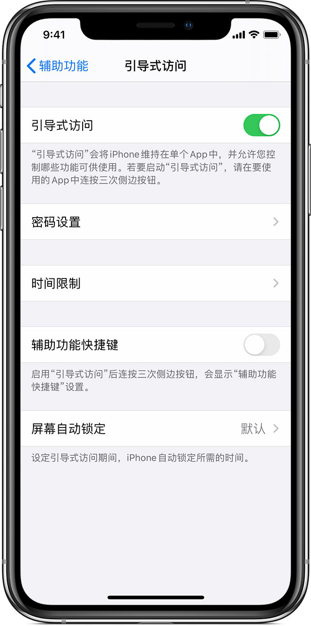 嵩县苹果手机维修分享如何在 iPhone 上退出引导式访问 