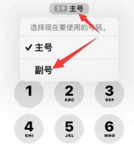 嵩县苹果14维修店分享iPhone 14 Pro Max使用副卡打电话的方法 