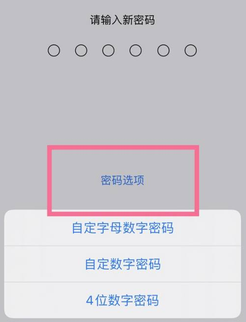 嵩县苹果14维修分享iPhone 14plus设置密码的方法 