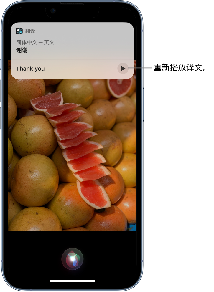 嵩县苹果14维修分享 iPhone 14 机型中使用 Siri：了解 Siri 能帮你做什么 