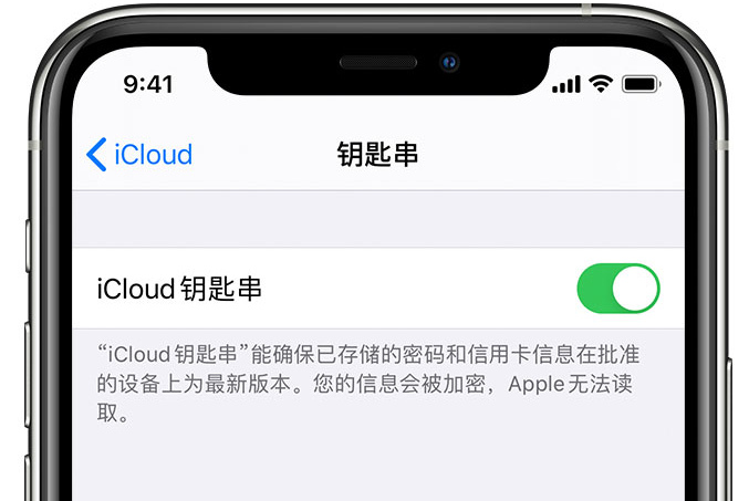 嵩县苹果手机维修分享在 iPhone 上开启 iCloud 钥匙串之后会储存哪些信息 