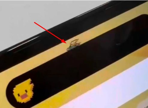 嵩县苹果14维修分享iPhone 14 Pro Max灵动岛怎么养宠物 