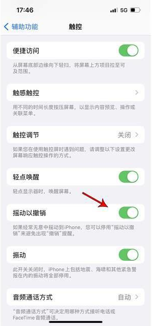 嵩县苹果手机维修分享iPhone手机如何设置摇一摇删除文字 