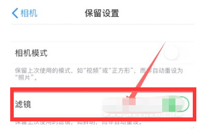 嵩县苹果13维修分享iPhone13拍照有绿点是怎么回事 