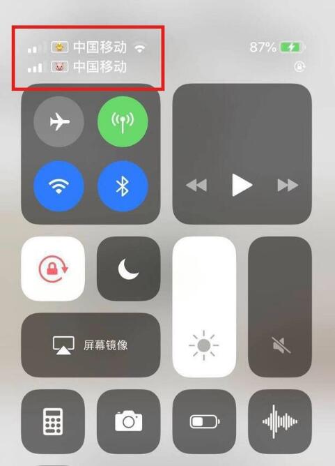 嵩县苹果手机维修分享为 iPhone 12 双卡设置标签 