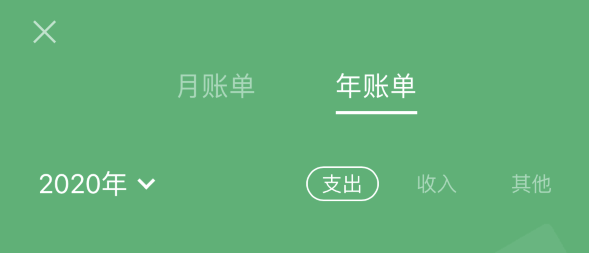 嵩县苹果手机维修分享如何在 iPhone 上查看支付宝和微信年支出账单 
